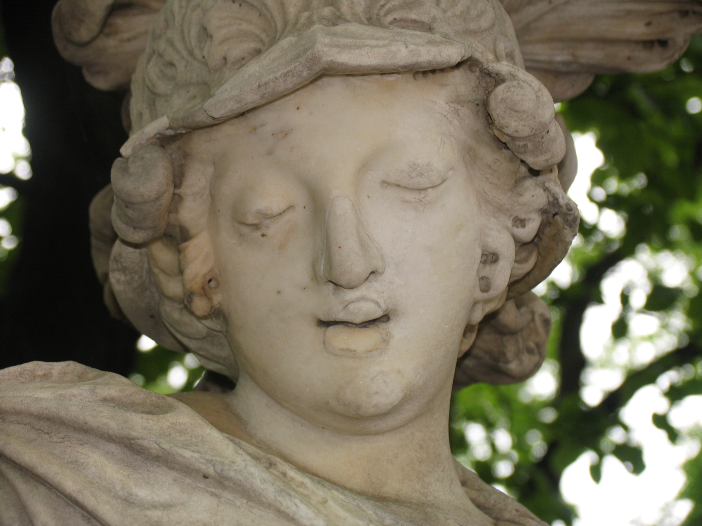 Head of Minerva, Summer Garden, Saint Petersburg